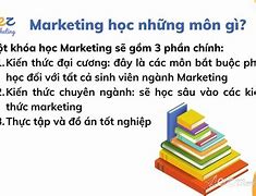 Du Học Ngành Marketing Tại Nhật Học Những Gì Tại Sao