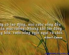 Lao Động Là Vinh Quang Tiếng Anh