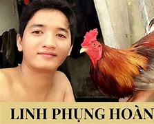 Phụng Hoàng Kê