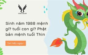 Sinh Năm 1988 Giờ Bao Nhiêu Tuổi