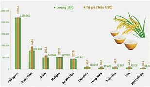 Xuất Khẩu Gạo Việt Nam Wiki 2023 Mới Nhất Hôm Nay